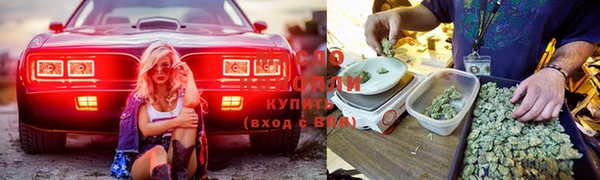 стафф Алзамай